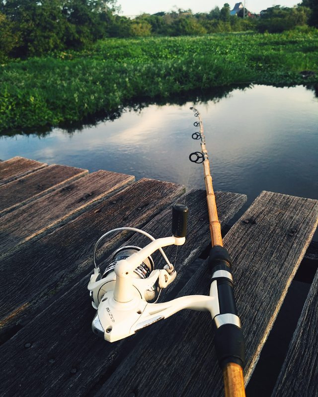 Fishing using a spinning reel